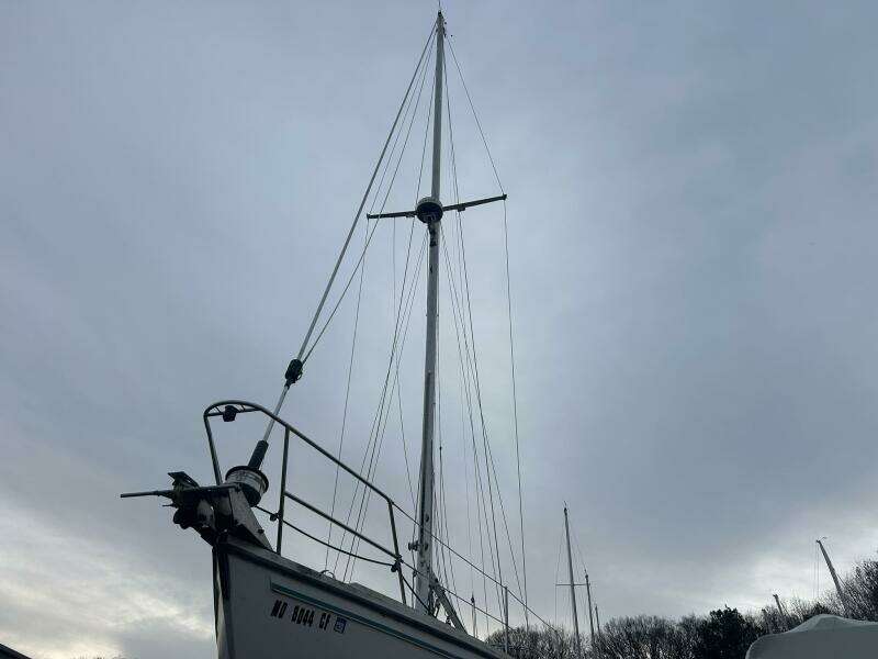 Wave Walker 36ft Catalina Yacht For Sale