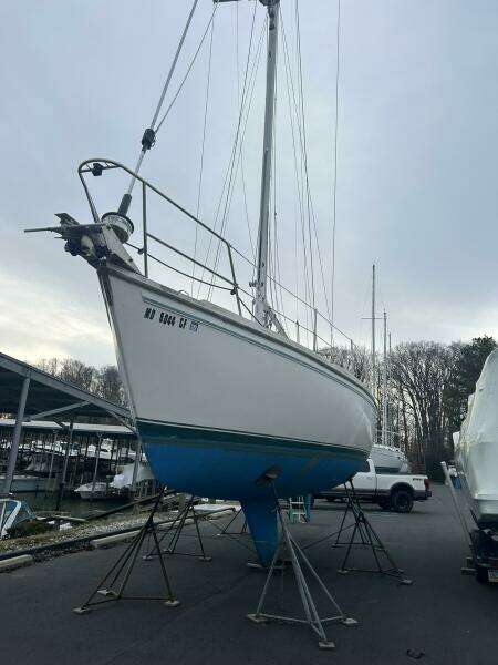 Wave Walker 36ft Catalina Yacht For Sale