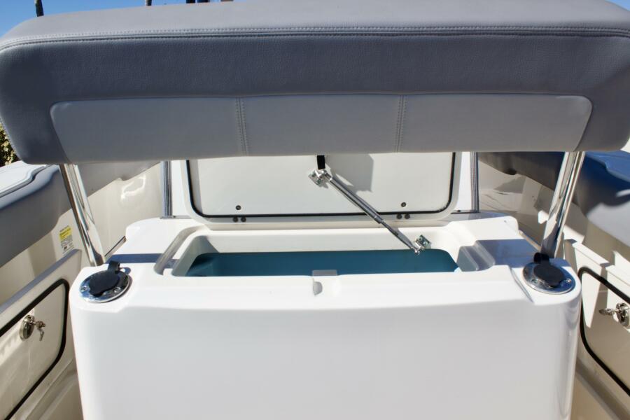 23' 2022 Boston Whaler 230 Outrage