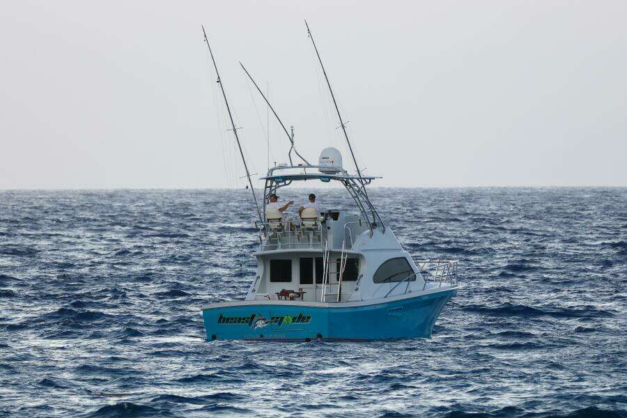 Beast Mode 40ft Black Watch Yacht For Sale