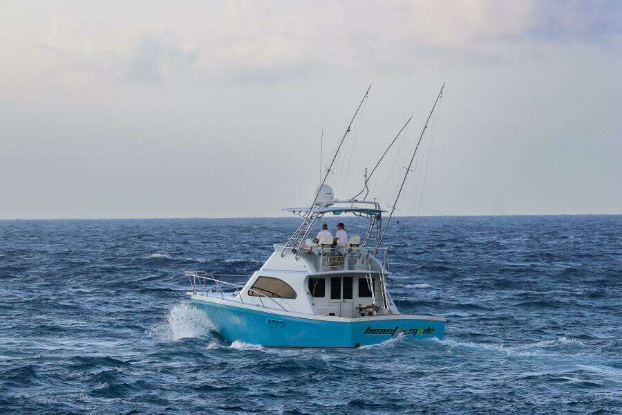 Beast Mode 40ft Black Watch Yacht For Sale