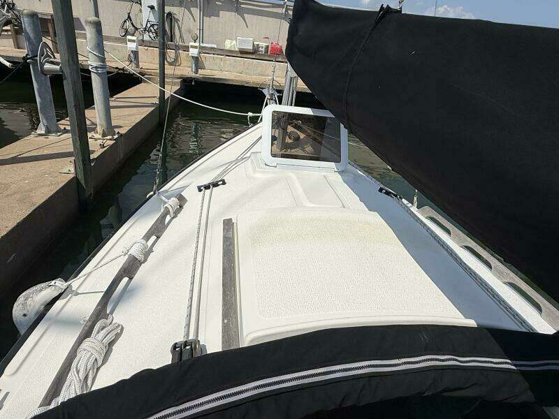 Horizon Cat cabin top