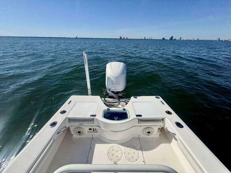 2020 Everglades 243 CC - Stern
