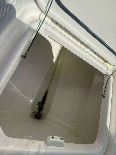 2020 Everglades 243 CC 