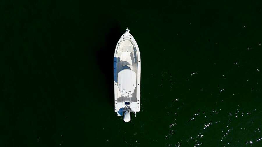 2020 Everglades 243 CC - Profile