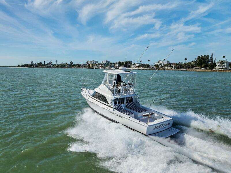 Still Dancing 35ft Bertram Yacht For Sale