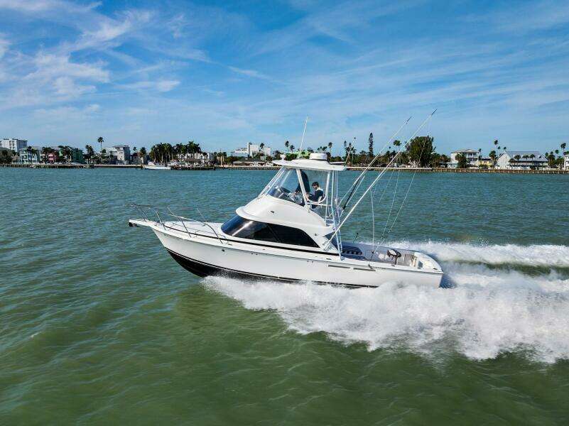 Still Dancing 35ft Bertram Yacht For Sale