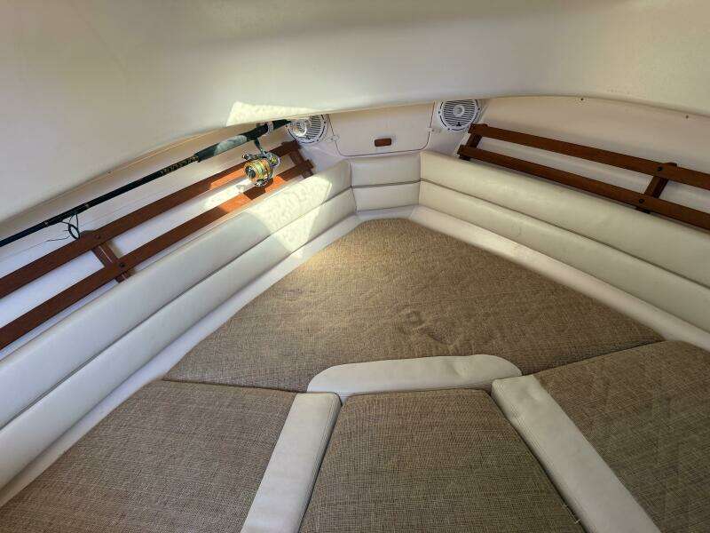 Fishaholics 30ft Grady White Yacht For Sale