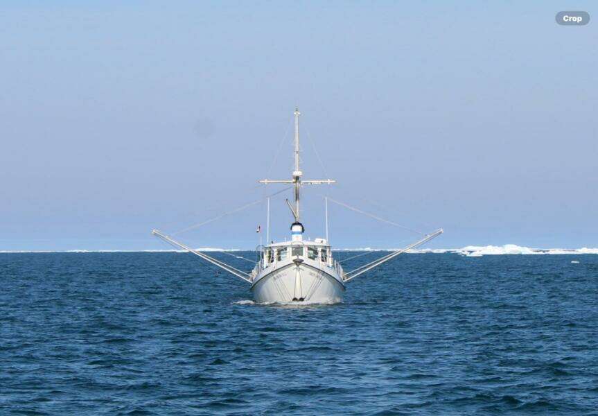 Iron Will 48ft Custom Yacht For Sale