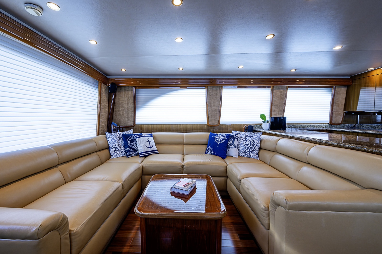 Viking 64 BIG BLUE - Salon