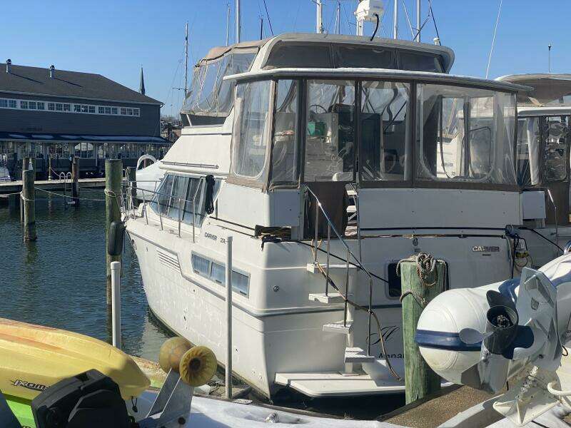 37ft Carver Yacht For Sale