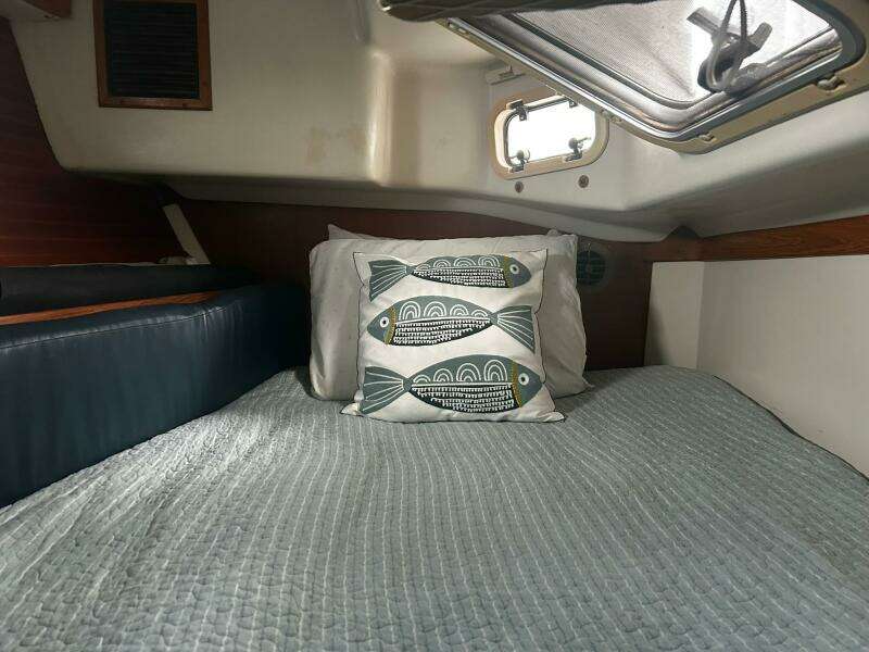 Simpatico 42ft Catalina Yacht For Sale