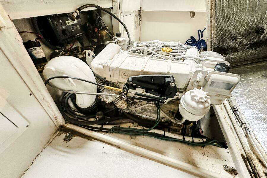 24ft Blue Fin Yacht For Sale