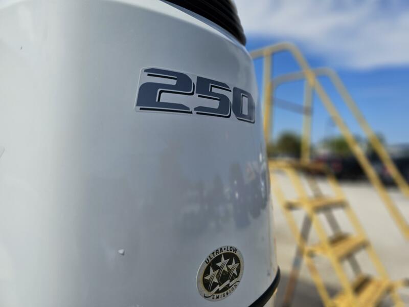 23' 2022 Stingray 231