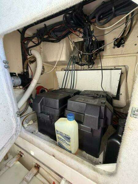 26ft Regulator Yacht For Sale