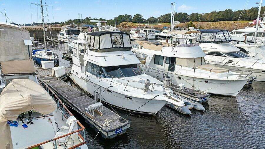 Still Not My Fault 39ft Carver Yacht For Sale