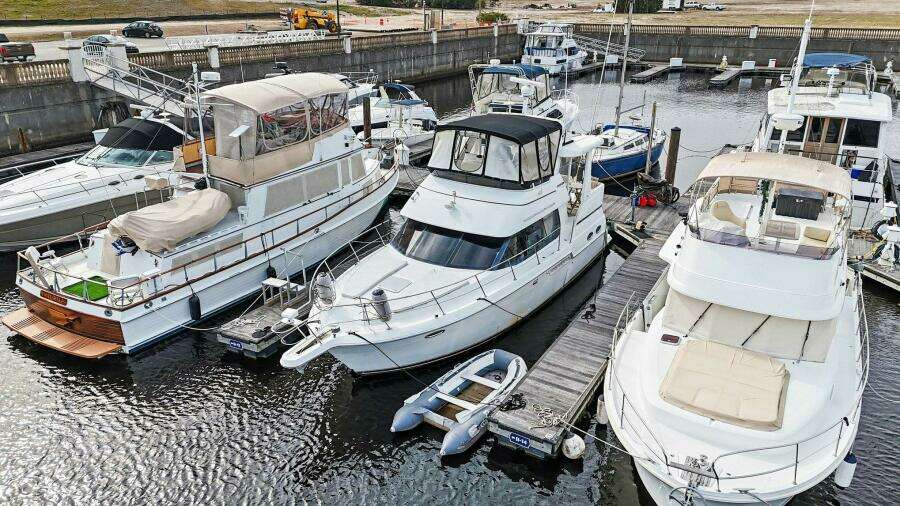 Still Not My Fault 39ft Carver Yacht For Sale