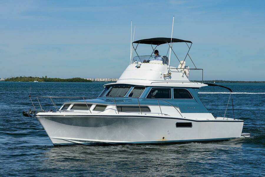 Bertram 38 - FIELD & SEA - 