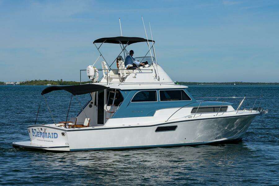 Bertram 38 - FIELD & SEA - 