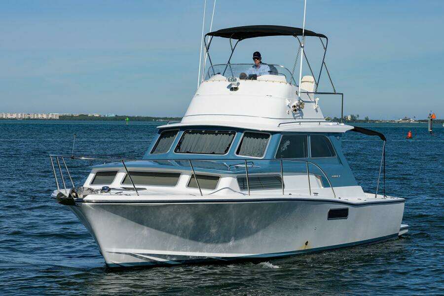 Bertram 38 - FIELD & SEA - 