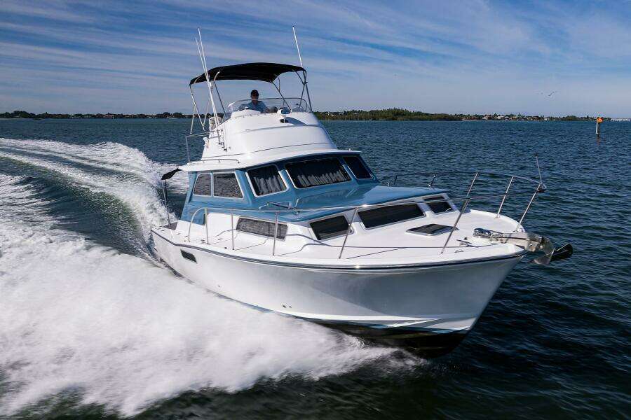Bertram 38 - FIELD & SEA - Starboard Profile