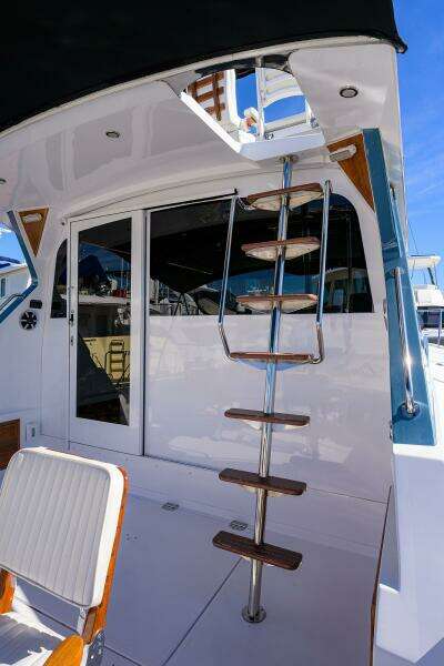 Bertram 38 - FIELD & SEA - 