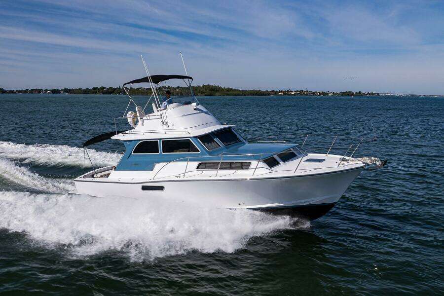 Bertram 38 - FIELD & SEA - Starboard Profile