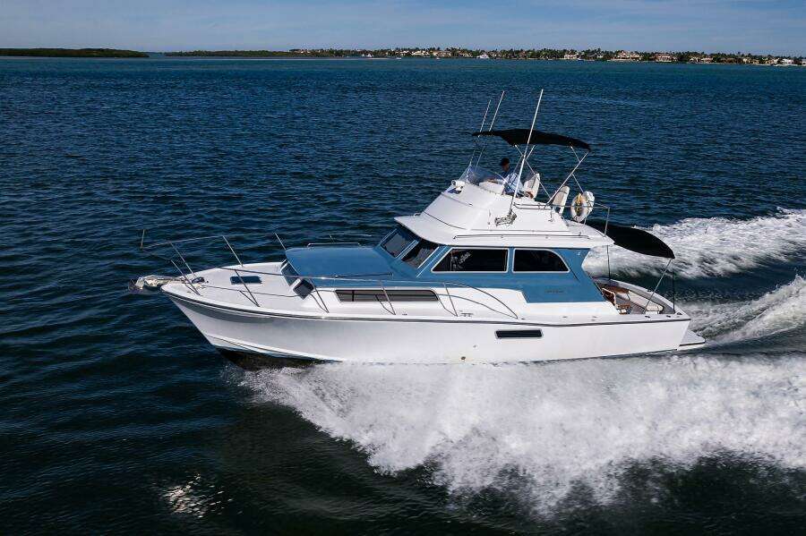 Bertram 38 - FIELD & SEA - Port Profile