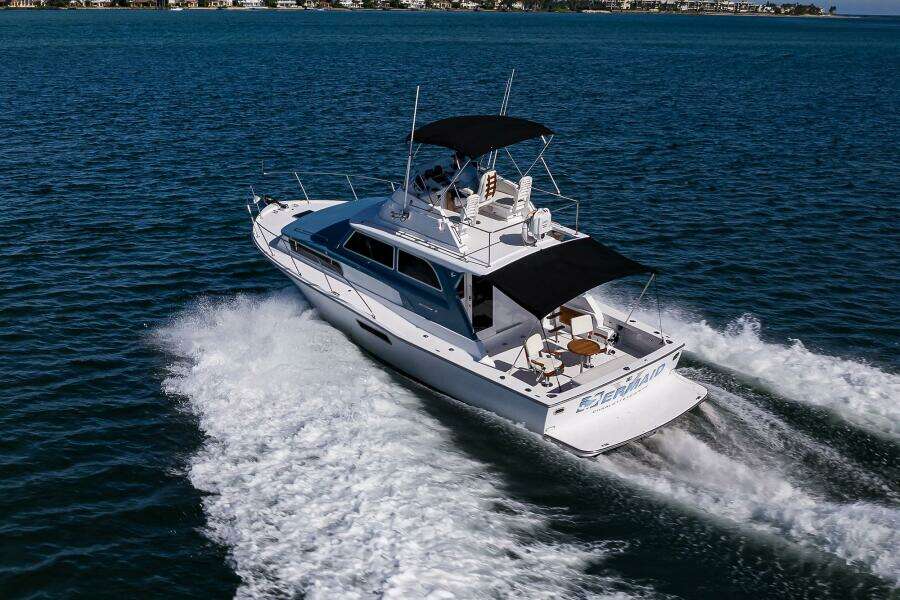 Bertram 38 - FIELD & SEA - Aft Port Profile