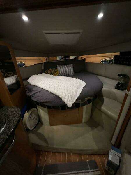 BELLA VITA 35ft Chaparral Yacht For Sale