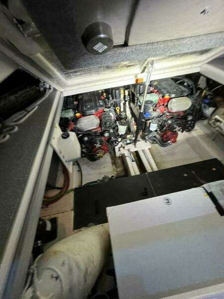 BELLA VITA 35ft Chaparral Yacht For Sale