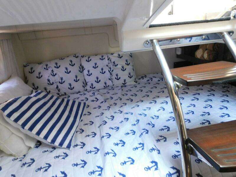 Livin on a Prayer 28ft Regal Yacht For Sale