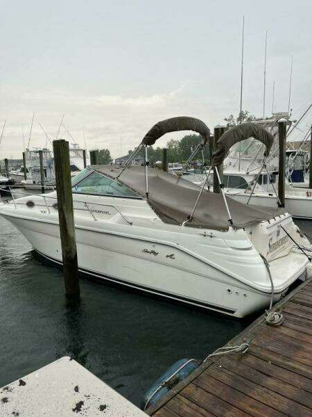 Serendipity 27ft Sea Ray Yacht For Sale
