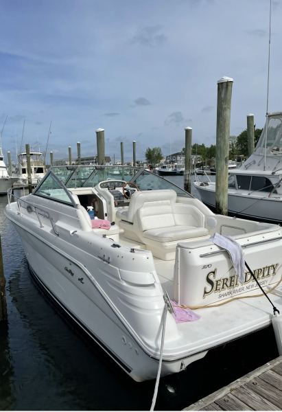 27' 1996 Sea Ray 270 Sundancer
