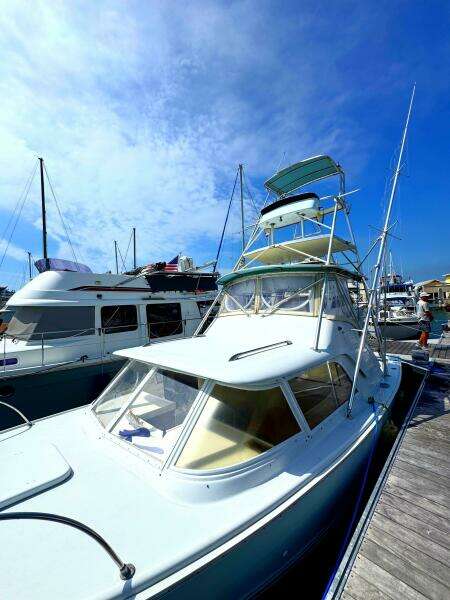 Last Pitch 31ft Bertram Yacht For Sale
