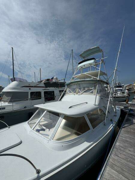 Last Pitch 31ft Bertram Yacht For Sale