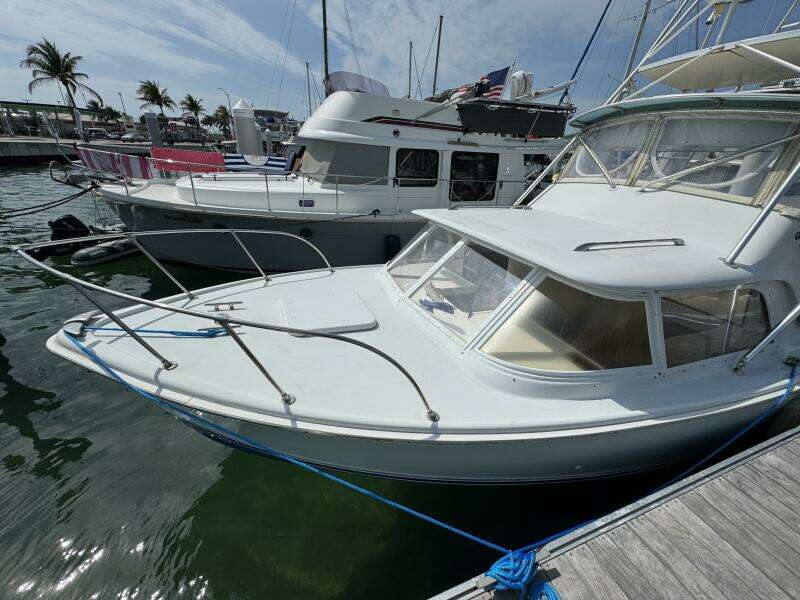 Last Pitch 31ft Bertram Yacht For Sale