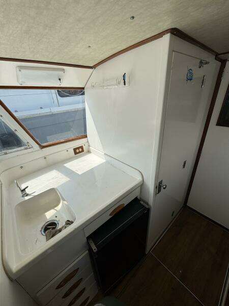 Last Pitch 31ft Bertram Yacht For Sale