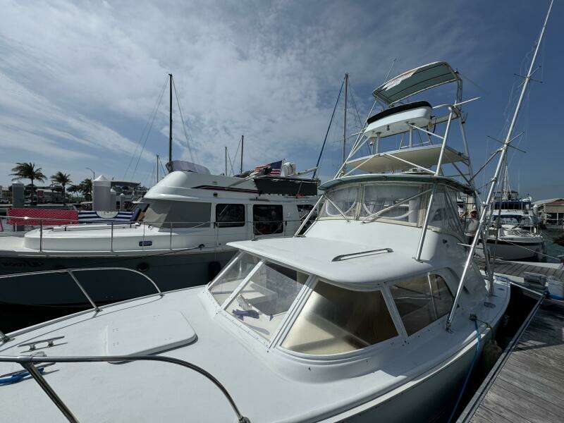 Last Pitch 31ft Bertram Yacht For Sale