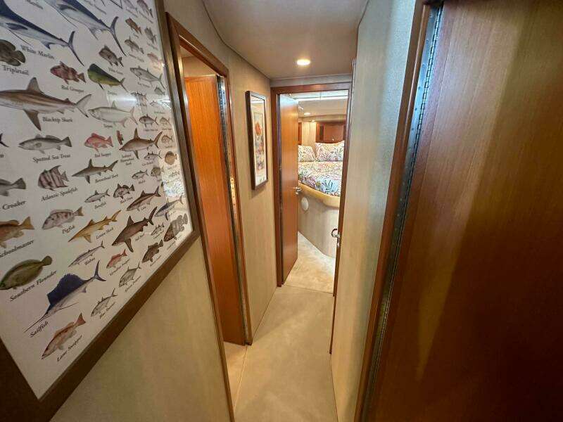MERRY YACHT 48ft Cabo Yacht For Sale