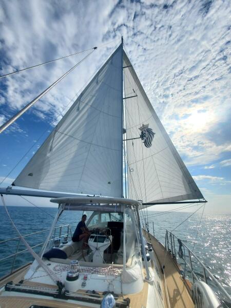 56' 2023 Bluewater 56