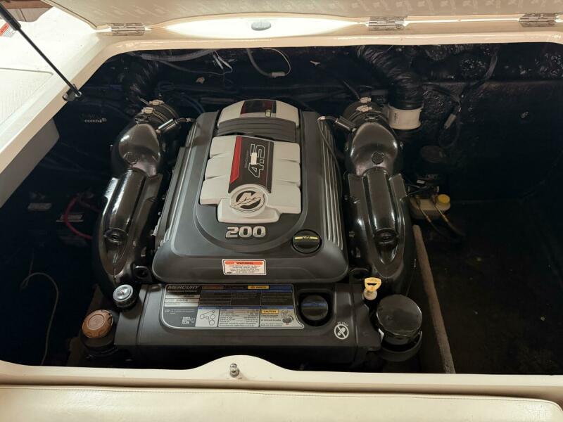 20' 2019 Stingray 208 LS