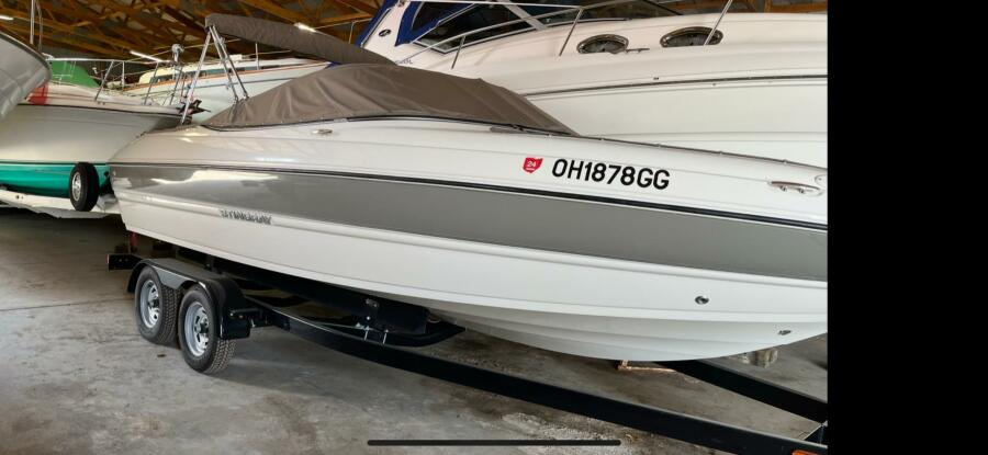 20' 2019 Stingray 208 LS