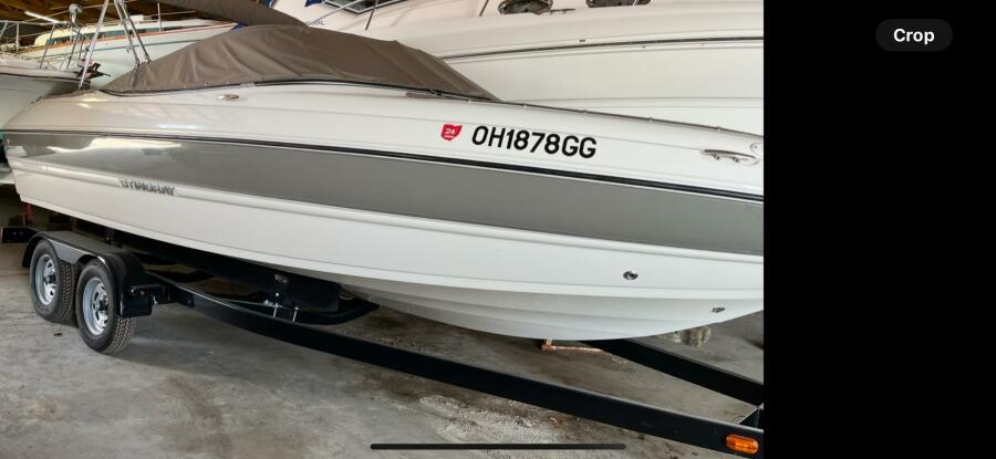 20' 2019 Stingray 208 LS
