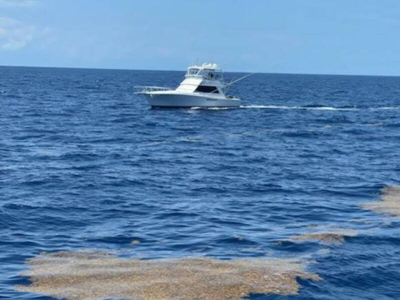 45' 1989 Viking 45 Convertible