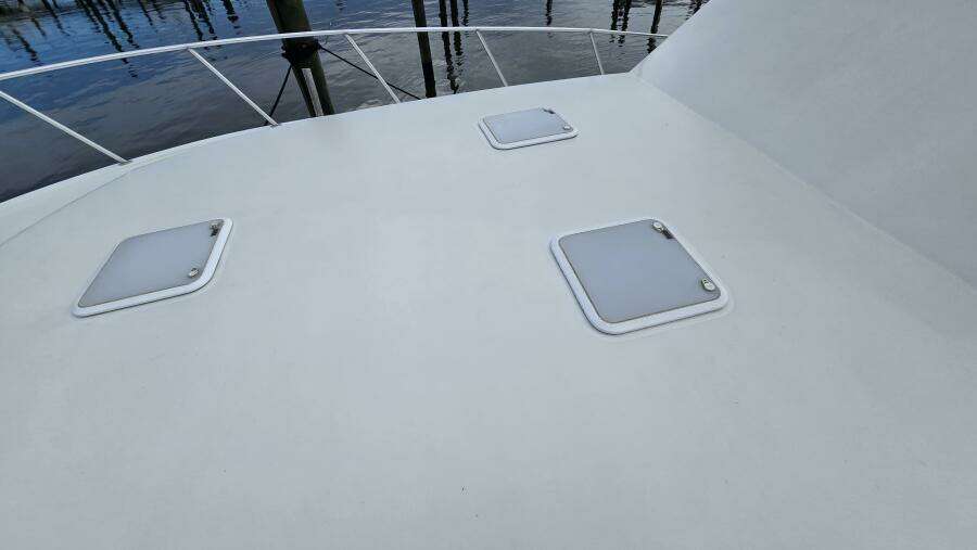 Viking 45 - Wild Life