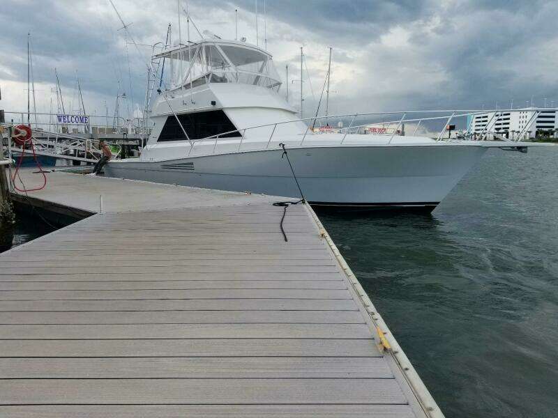 Viking 45 - Wild Life