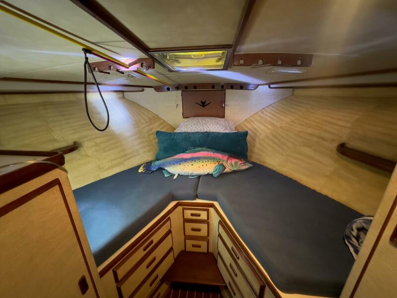 46' 1984 Bertram 46 Convertible