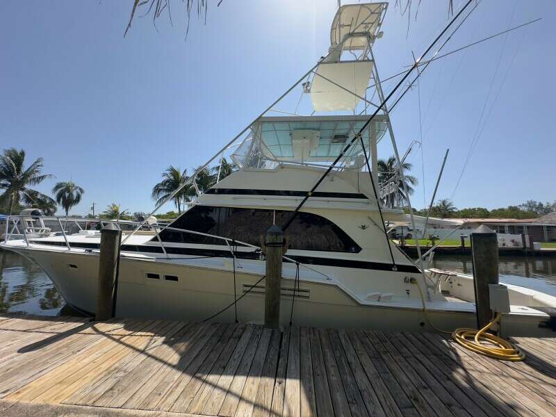 LAID BACK 46ft Bertram Yacht For Sale