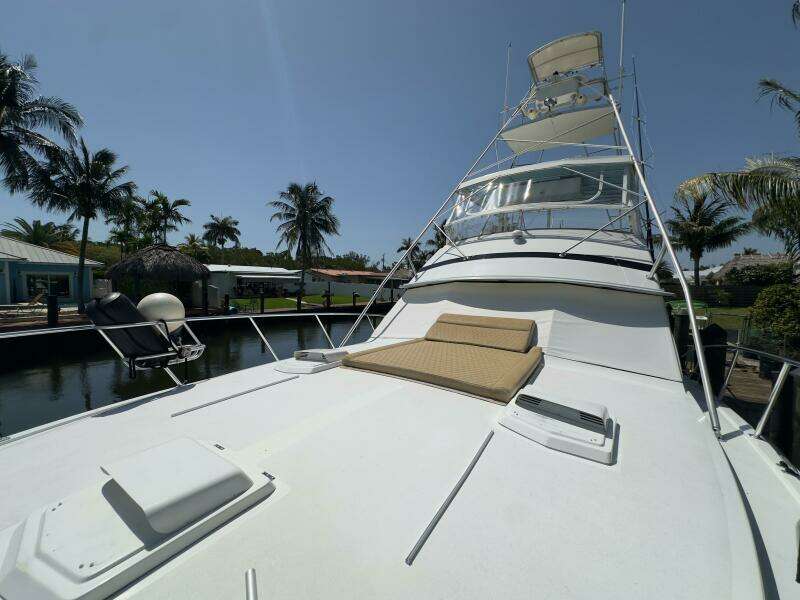 LAID BACK 46ft Bertram Yacht For Sale